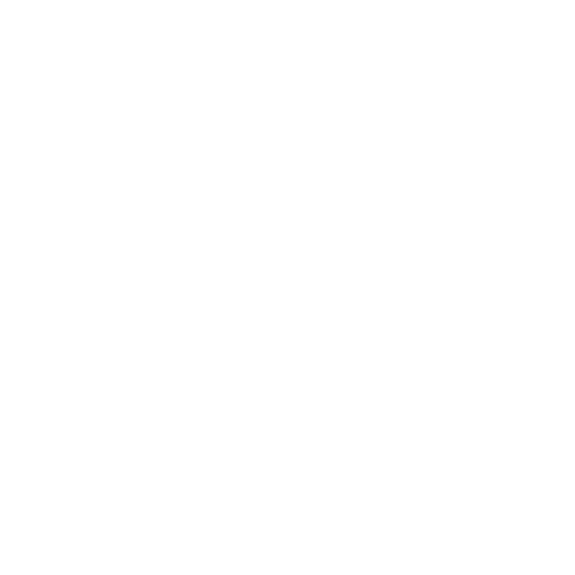 logo light
